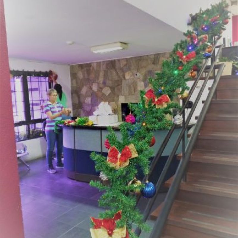 Hermosa guirnalda adorna la escalera de acceso a las oficinas