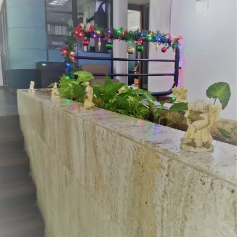 Detalles que reflejan el espíritu navideño en el IVPA